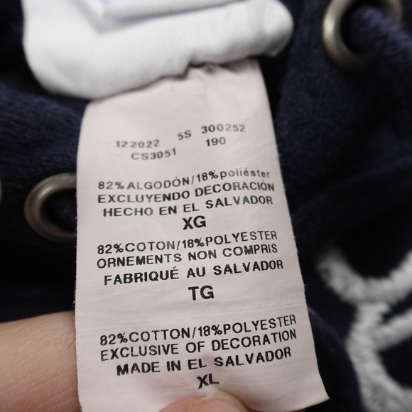 Champion Hoodie Mens XL Blue Naughty By Nature Reverse Weave Hip Hop Sweatshirt - Picture 5 of 9